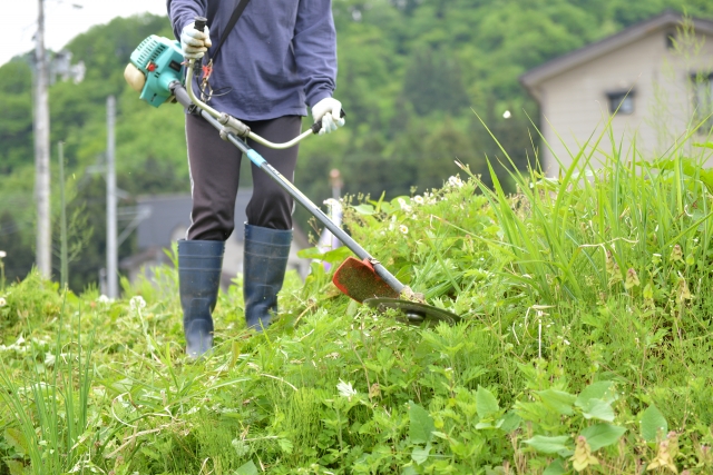 藤岡市で草刈りに最適な年3回の時期～楽に草刈りを終えるコツまで徹底解説
